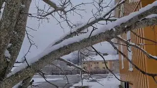 НОРВЕГИЯ , НАМ ДАЛИ КОММУНУ ....  21. 03. 2024