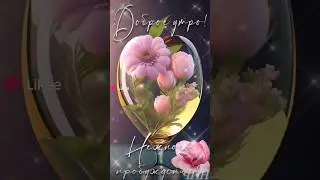 С добрым утром! Прекрасного нового дня всем!