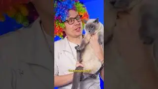 ♦️ Папа Мэй 9 серия