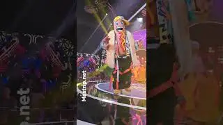 Hot Dog canta 