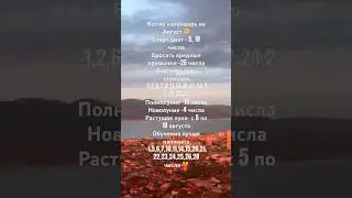 Космо календарь  на август !!