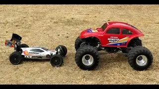 TLR Egress and the Big Monster Beetle