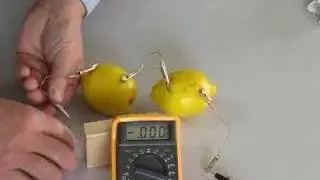 Create a Lemon Battery