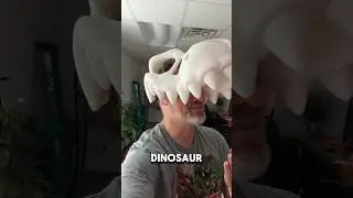 🦖 I need more of these please!