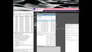 Wireless Access Exploitation 1