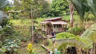 Tinggal di Kebun bertani dan beternak 