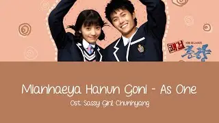 Mianhaeya Hanun Goni (Ost. Sassy Girl Chunhyang) - As One Lyrics