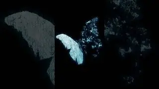 Is the Algorithm right??? Song: Inner Wings #metalband #newmetal #shortmusic