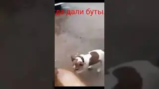 13 октября 2022 г.