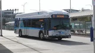 VTA Bus - Gillig Low Floor Plus HEV 40' Route 71 #3441