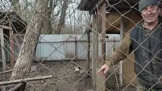 У нас субботник) навели порядок во дворе, в саду и у берега реки. Грунтуем декоративные кирпичики.