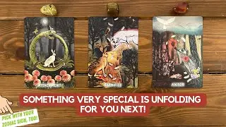 Something very special is unfolding for you next! 🔮 | Timeless Reading