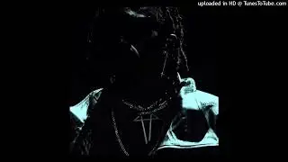 Playboi Carti - Make tha Trap Say Aye REMIX (LOOPED)