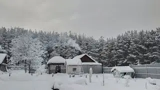 мороз на Урале парализовал жизнь в деревне // в лес за дровами // кот живёт в бане // влог