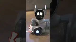 loona robot playing with clicbot brain #loona #loonapetbot #loonarobot #airobot #petbot #petrobot