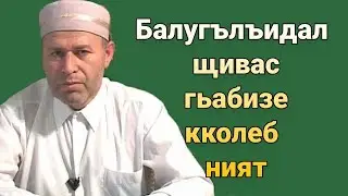 Балугълъидал щивас гьабизе кколеб ният