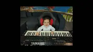 Beny Vasile & Aurică Radu - Instrumental Banat (Ascultare 2023)
