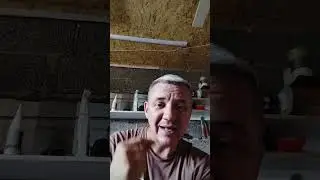 как Путину удалось подавить бунт Пригожина за 1 день.Супер способ.😄