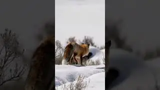 Как по минному полю! 