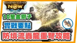 MHN 你的攻擊將成為我的子彈！防填流轟龍重弩!!安全又輕鬆~10星金獅子實戰攻略~~ MONSTER HUNTER NOW