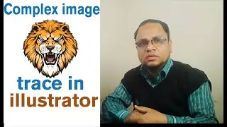 Complex image trace in illustrator