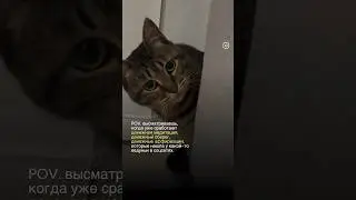 POV. ждешь, когда же сработает денежная медитация