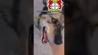 Байер... ААААААА