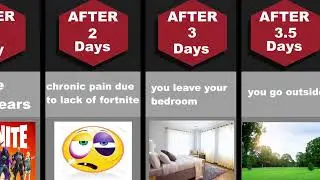how long could you survive without fortnite?