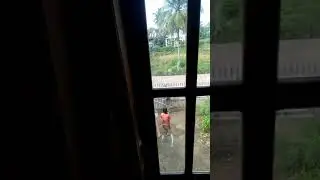 intip adek lg main tik tok goyang nya mantap