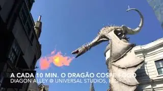 Dragão do Harry Potter em Universal Studios, Orlando Flórida