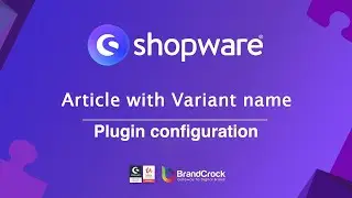 Shopware 6 Plugin Article with variants name