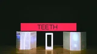 Horizon Family | Teeth | HF2021: Standing