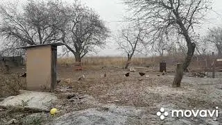 С Первым Снегом!