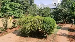 CDAC campus, Bangalore, Part 4 #cdac