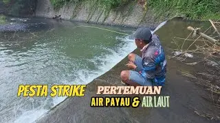 Mancing di sungai pertemuan antara air tawar dengan air payau,Hasil ikan nya MEMUASKAN