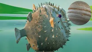 Comparison of the planets of the solar system with a fish ball  The color of the planets  Fishing