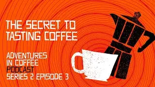 The Secret to Tasting Coffee