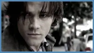 The Shrine of Jared Padalecki's Ass