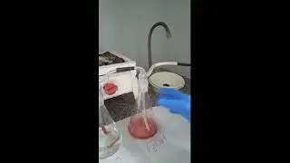 8  semestr IS Gazi Korboksigemoglabin mp4 #2