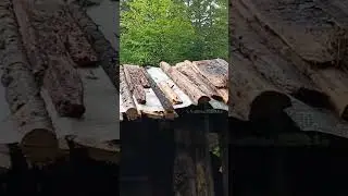 ремонт зимовья