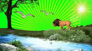 Nature Video Background/ Background Animation Effects/ Black Background Effects Video/ Vfx Videos 4