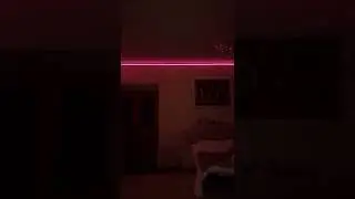 Любовь с первого раза