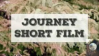 SIMPLE PHOTOGRAPHY USING A PHONE #how #photography #phone #photo