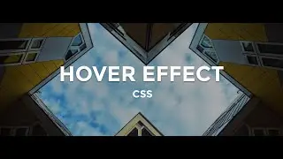 Image Slider on Hover from Top to Bottom HTML & CSS (HTML5 va CSS3)