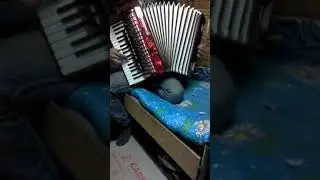 Акардион чертсен ушинтип черт таза