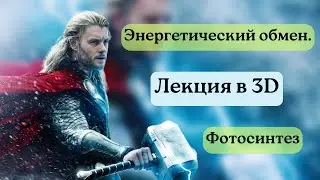 ЭНЕРГЕТИЧЕСКИЙ ОБМЕН И ФОТОСИНТЕЗ