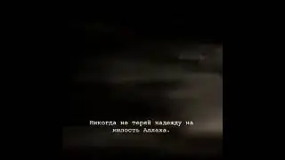 11 мая 2021 г.