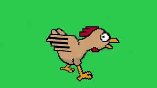 Chicken Running | Free Green Screen