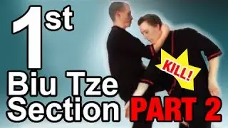Wing Tsun 1st Biu Tze section - Part 2