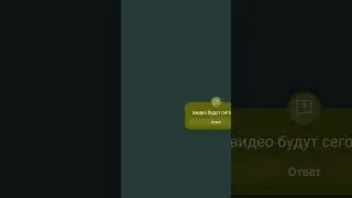 видео будут сего